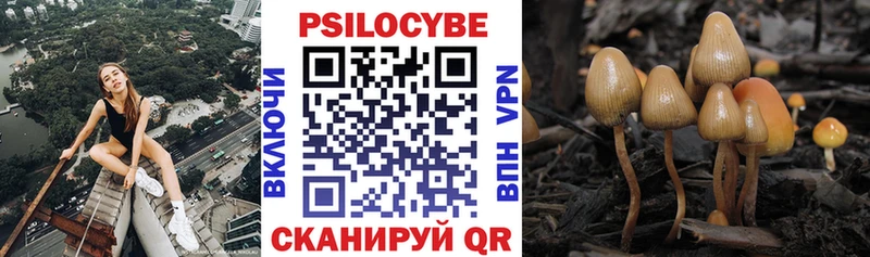 наркотики  Печоры  Псилоцибиновые грибы Psilocybe 
